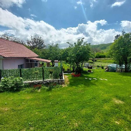 Village Flower Ivy Montenegro Nikšić Dış mekan fotoğraf