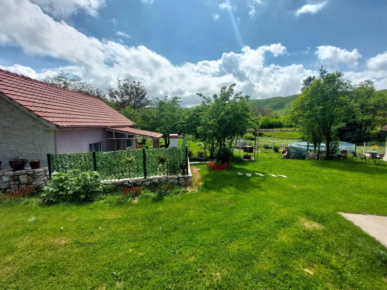 Village Flower Ivy Montenegro Nikšić Dış mekan fotoğraf