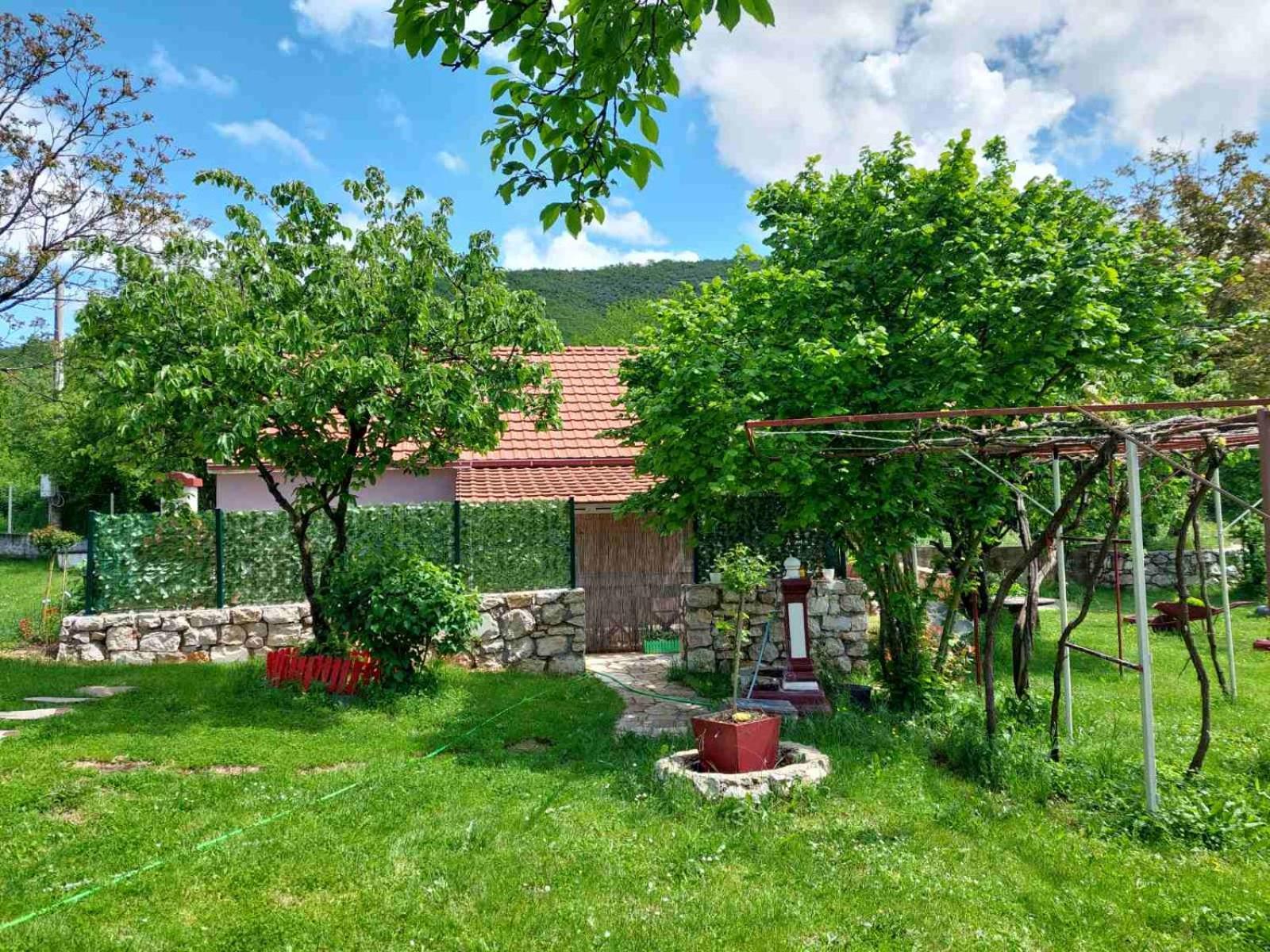 Village Flower Ivy Montenegro Nikšić Dış mekan fotoğraf
